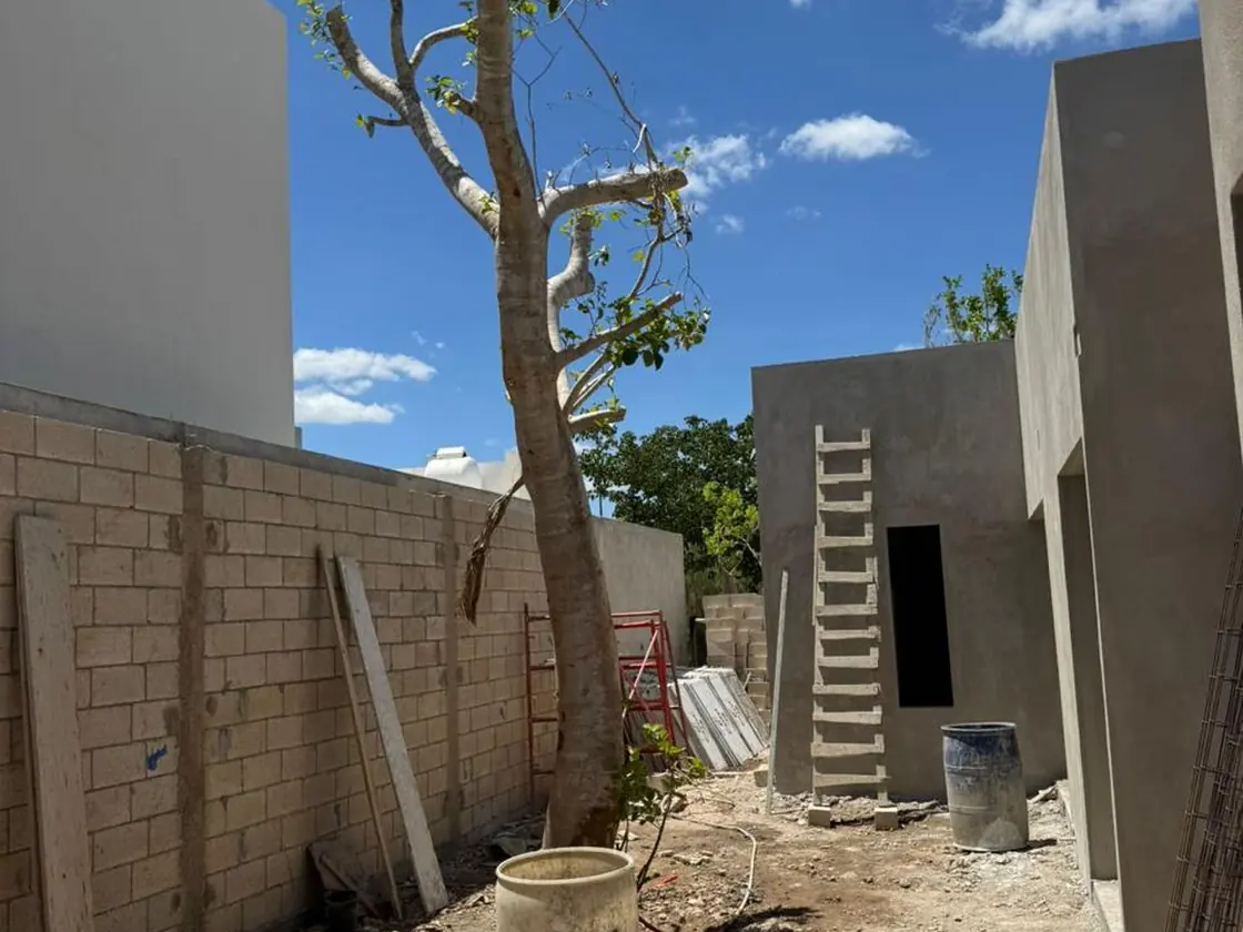 El patio en obra: el árbol recién plantado entre los muros sin terminar