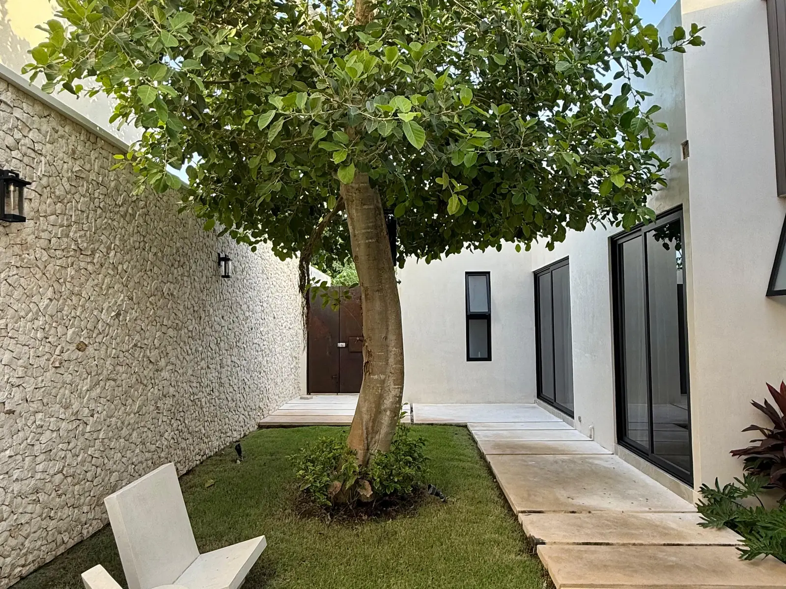 Patio interior con el árbol ya crecido, sillas de concreto y muro de piedra